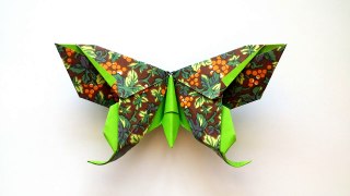 How To Make An Origami Butterfly  (Michael G. Lafosse)