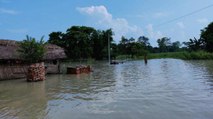 Bihar: Water filled in dozens of villages, govt not helping