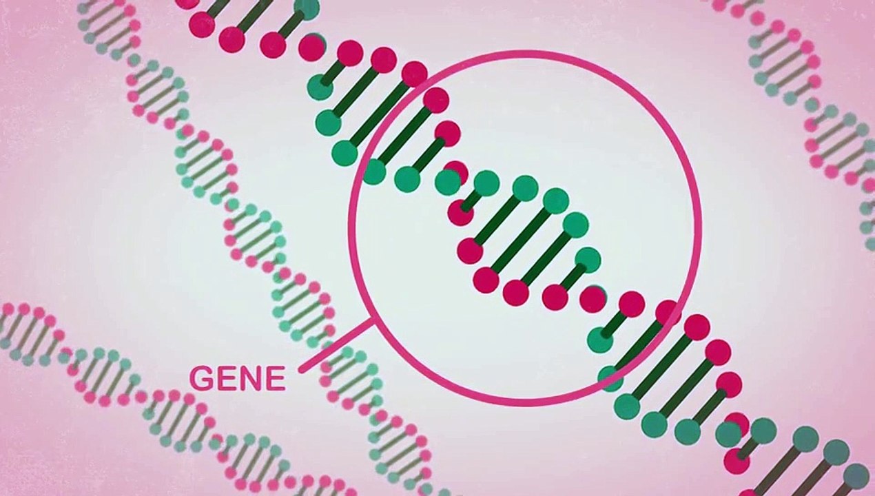 AstraZeneca: mutações dos genes BRCA