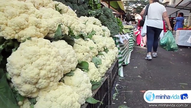 Câncer: é possível prevenir o aparecimento de tumores? - Dúvidas sobre câncer
