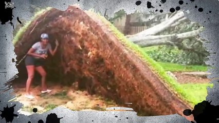 প্রকৃতির ক্ষমতা মানুষের পক্ষে কল্পনা করাও সম্ভব না! এই ভিডিওটি তার প্রমান