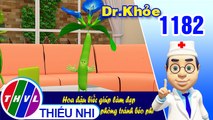 Dr. Khỏe - Tập 1182: Hoa đậu biếc giúp làm đẹp phòng tránh béo phì