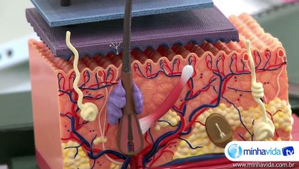 Furúnculos: entenda o que são e saiba como é o tratamento