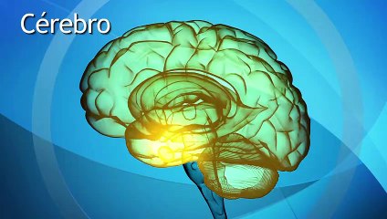 Síndrome do pânico: transtorno de ansiedade gera ataques de medo intenso