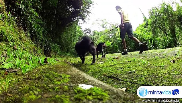 Sinusite: dores na cabeça e no rosto indicam doença respiratória