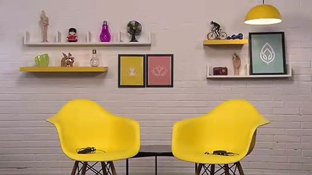 Saúde do cabelo: Problemas comuns e como combatê-los