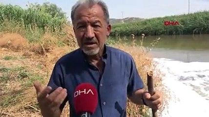 Çevrecilerden, Menderes için 'Tehlike kapıda' uyarısı