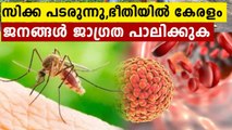 Thiruvananthapuram district reports 15 cases of Zika virus