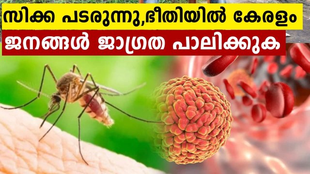 Thiruvananthapuram district reports 15 cases of Zika virus