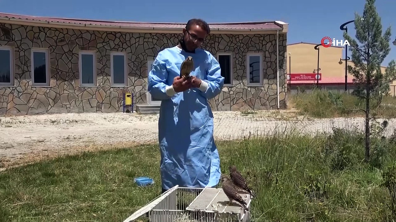 Sevimli kerkenezlerden ayrılık zamanı