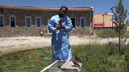 Sevimli kerkenezlerden ayrılık zamanı