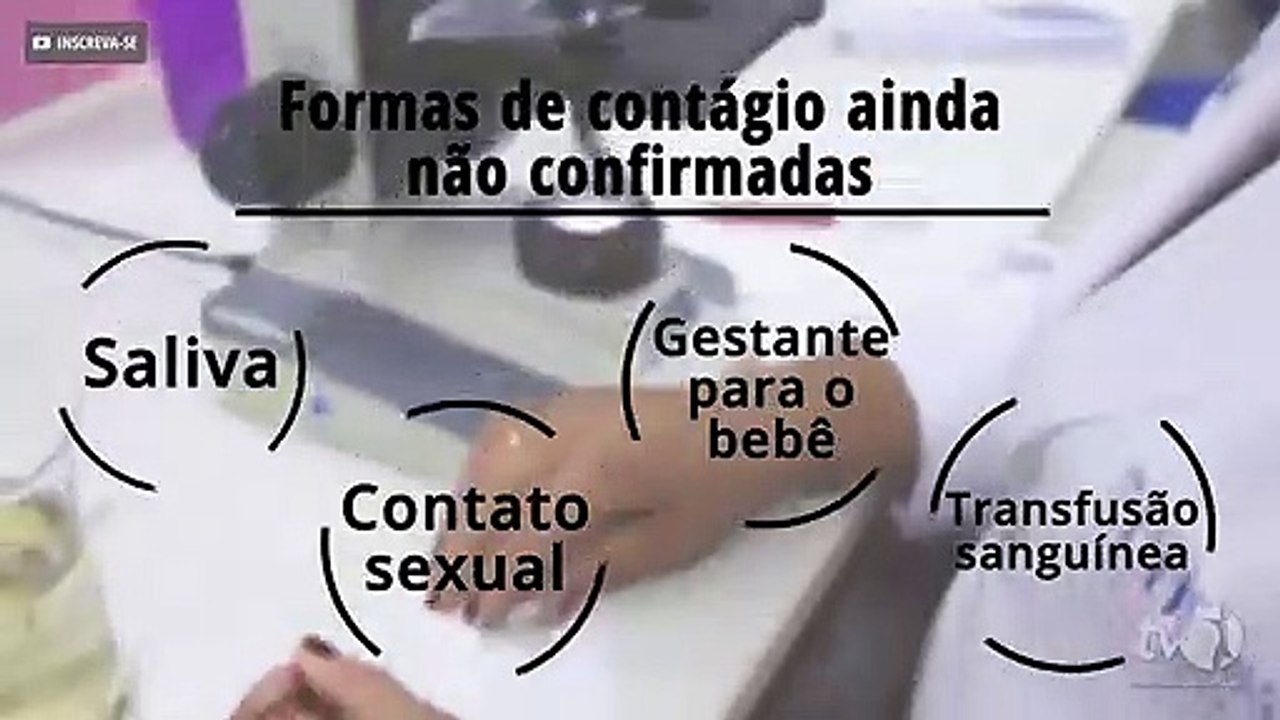 Zika vírus: Tudo o que você precisa saber sobre a infecção