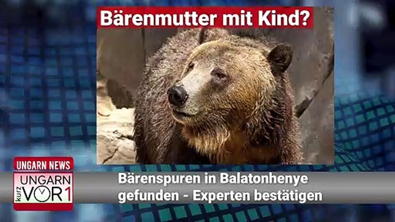 Ungarn Kurz vor 1 - Nachrichten am Mittag