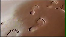 The Origin and Evolution of Life