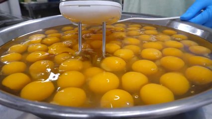 Egg Sausage Omelette - Korean Street Food