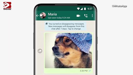 WhatsApp video quality tests