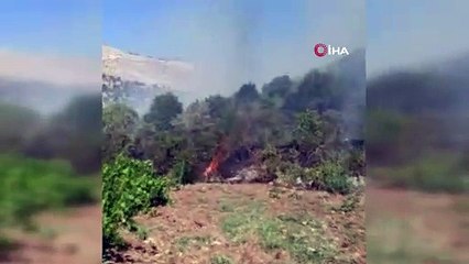 Gercüş’te çıkan yangında 150 dönümlük alan kül oldu