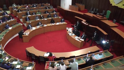 Assemblée Nationale : Le projet sublime Côte d'Ivoire présenté aux députés