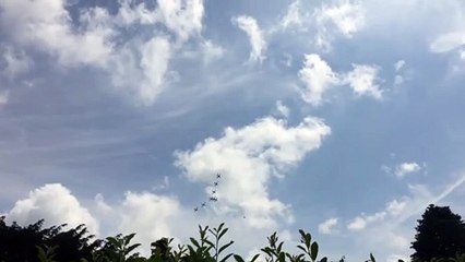 Red Arrows Chichester