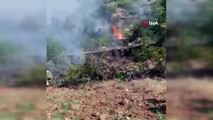 Gercüş’te çıkan yangında 150 dönümlük alan kül oldu