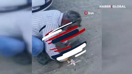 Yol ortasına yaklaşık 15 yumurta bırakan kaplumbağa kamerada