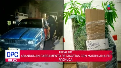 Abandonan cargamento de macetas con marihuana en Hidalgo