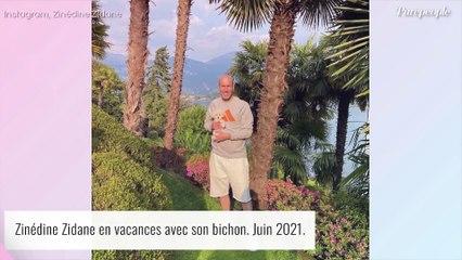 Zinédine Zidane à Ibiza : torse nu pour une virée en mer, avec ses fils et son bichon