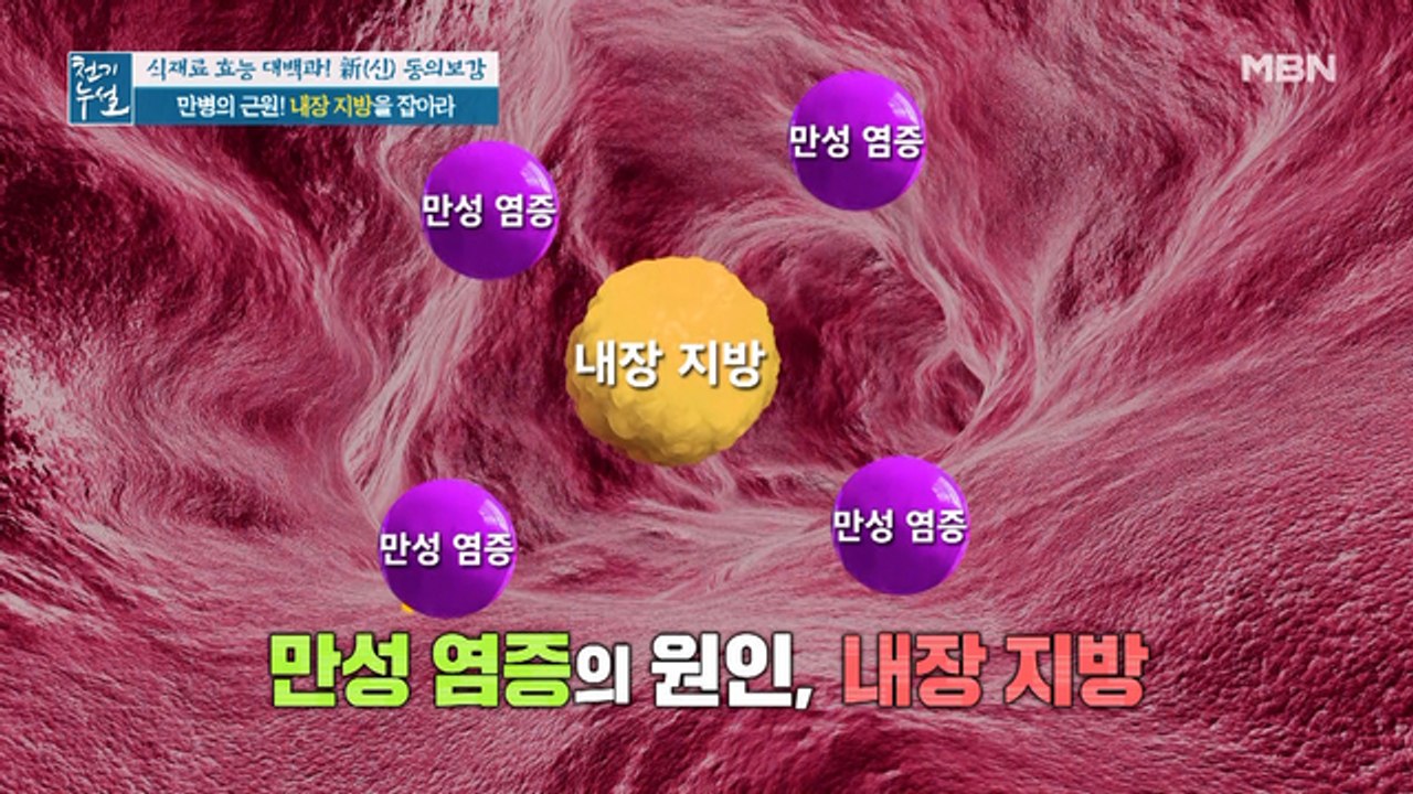 생명을 위협하는 살의 정체! 만병의 근원, 내장지방을 잡아라