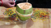 Green Coconut Vs Rubber Bands | Latest Experiment Challenge Video | Ideas Therapy