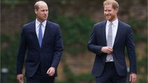 Harry tried to engage with William at Diana’s tribute — Here’s how his brother reacted