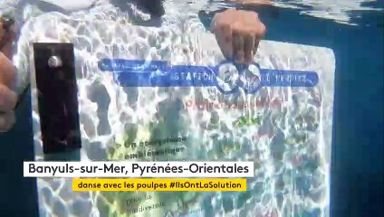 À Banyuls-sur-Mer, un sentier aquatique pour prolonger la plage et protéger le monde marin