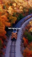 No Lie WhatsApp status | Sean Paul ft. Dua lipa|