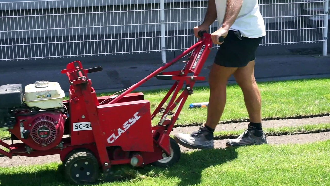 Pelouse Autorisée x Remise pelouse