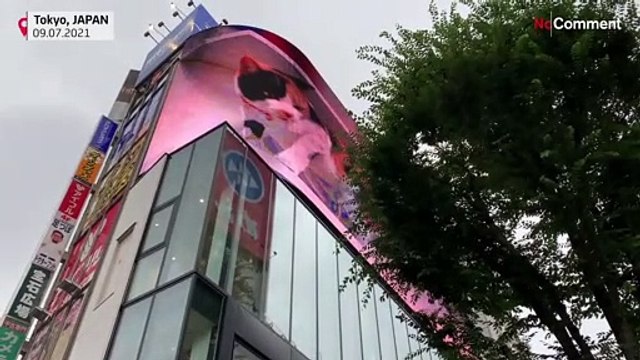 Un immense chat en 3D salue les passants au Japon
