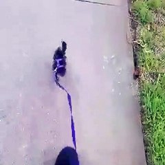 Tasmanın ucundakine çok şaşıracaksınız