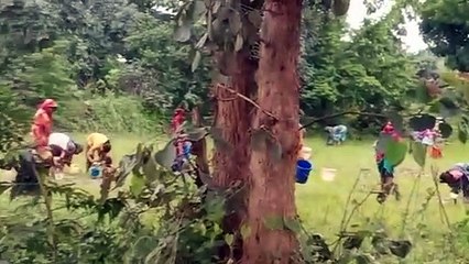 डीजल का टैंकर पलटा तो बाल्टी और गैलन लेकर दौड़ पड़े लोग