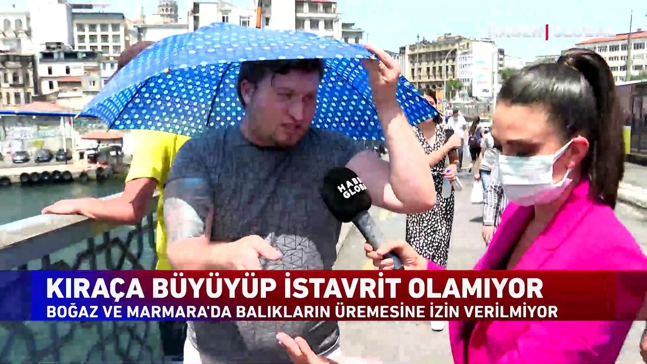 İstavrit boğazı terk etti! Kıraça büyüyüp istavrit olamıyor