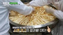 도라지로 성공한 특급 비결 大공개!