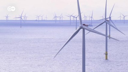 Ветроэнергетика в Германии: почему стали строить меньше ветряков (09.07.2021)