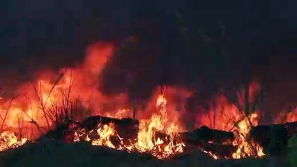 Desmatamento na Amazônia bate novo recorde