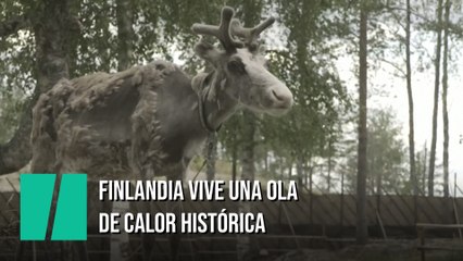 Finlandia vive una de las olas de calor más intensas de su historia
