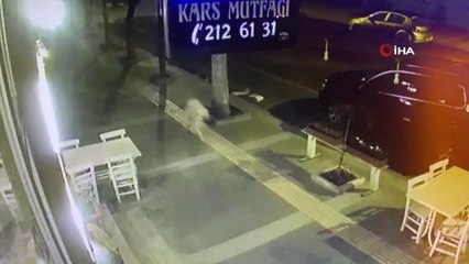 Son dakika haberleri... Sokak köpeklerinin gençlere saldırdığı anlar kamerada