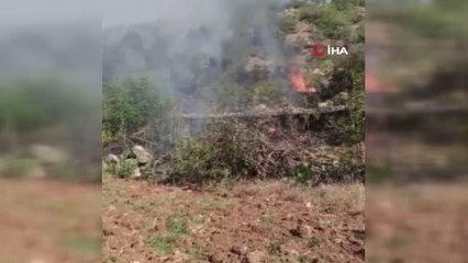Gercüş'te çıkan yangında 150 dönümlük alan kül oldu