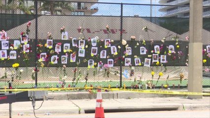 Team of Golden Retrievers Arrives in Surfside to Comfort First Responders