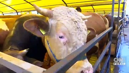 Meclis'ten geçen yasada hangi düzenlemeler var?