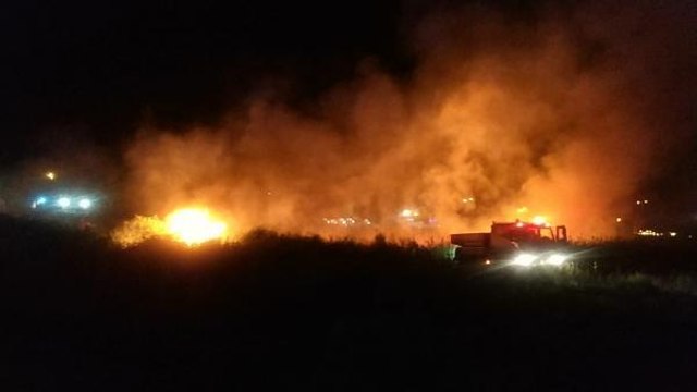 DÜĞÜNDE ATILAN HAVAİ FİŞEK SAZLIK ALANI YAKTI