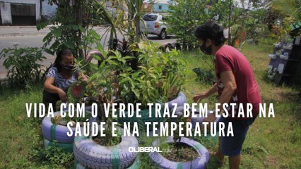 Vida com o verde traz bem-estar na saúde e na temperatura