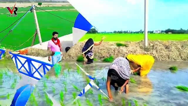 @VIDEO _ रोपनिया क लS भउजी _ @Ritesh Pandey, @Antra Singh Priyanka _ Ft. @Rani _