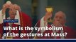 What is the symbolism of the gestures at Mass? | The Mass Explained