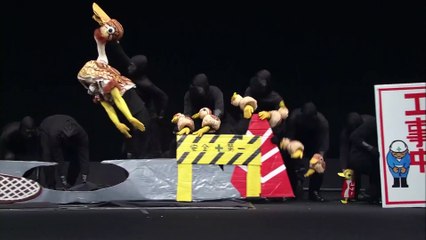 Duck Mom and Duckling